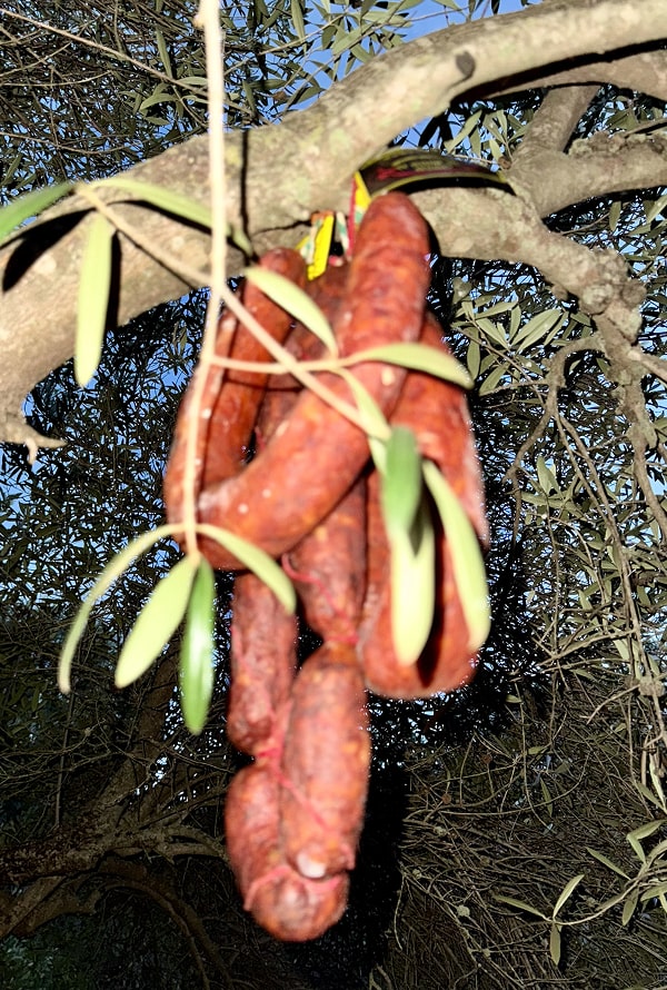 Chorizá - La Sierrazuela