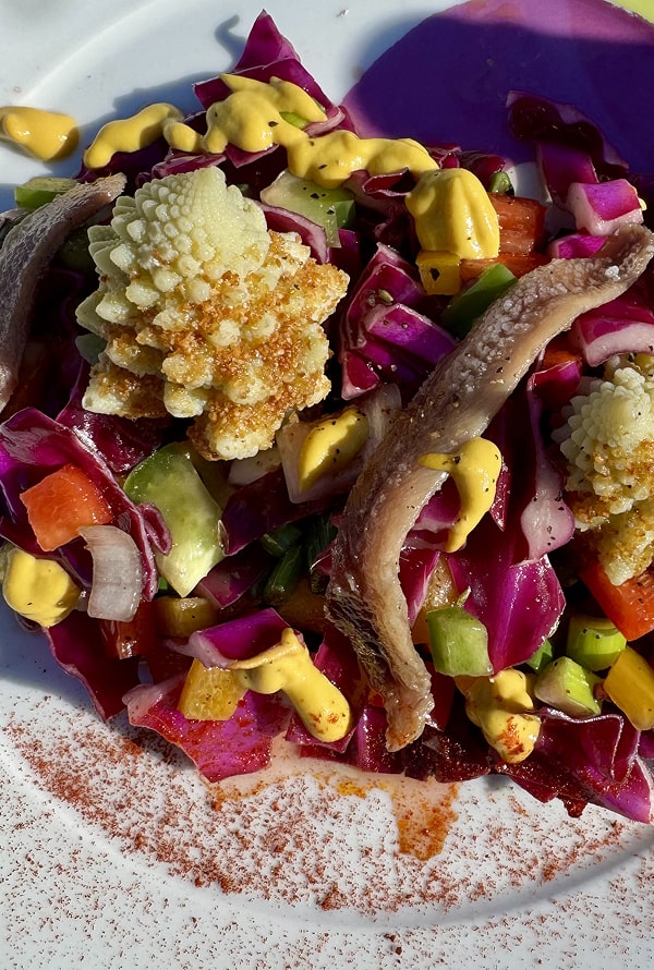 Picnic en el Olivar - La Sierrazuela