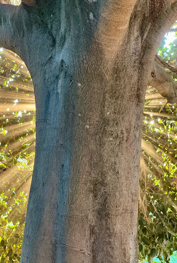 Una tarde en La Sierrazuela