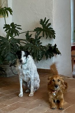 lasierrazuela_alojamiento_08-min